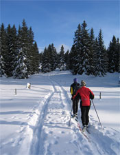 Cross Country Skiing in PA